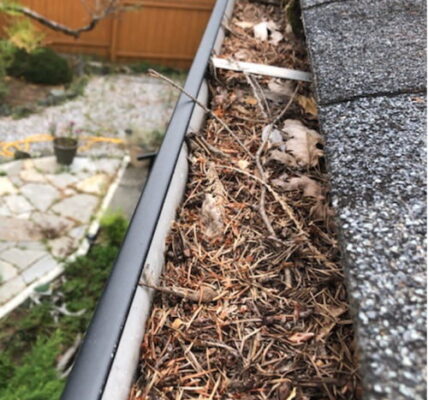 The Role of Gutter Cleaning in Preventing Mold Growth