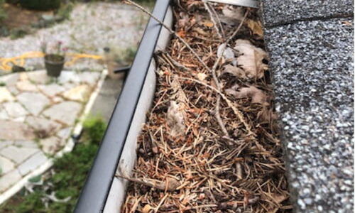 The Role of Gutter Cleaning in Preventing Mold Growth