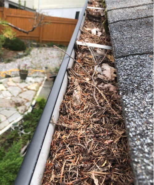 The Role of Gutter Cleaning in Preventing Mold Growth